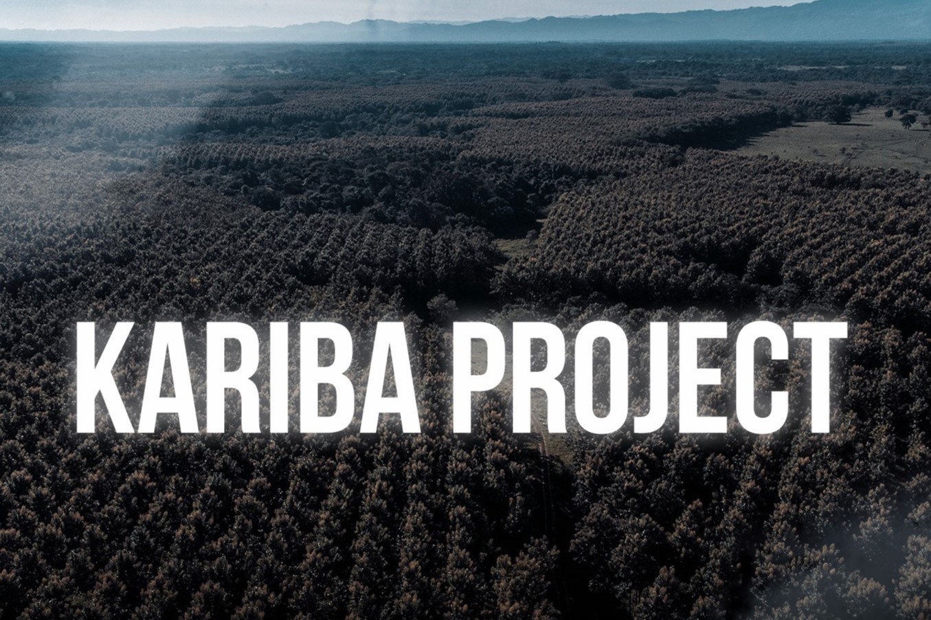 Masa Depan Kredit Karbon Terancam, Cerita Kolapsnya Kariba