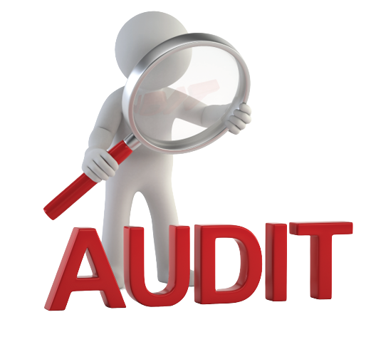 General and Special Audit